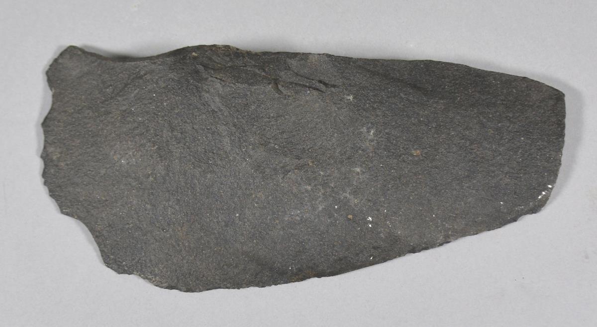 V C 5498