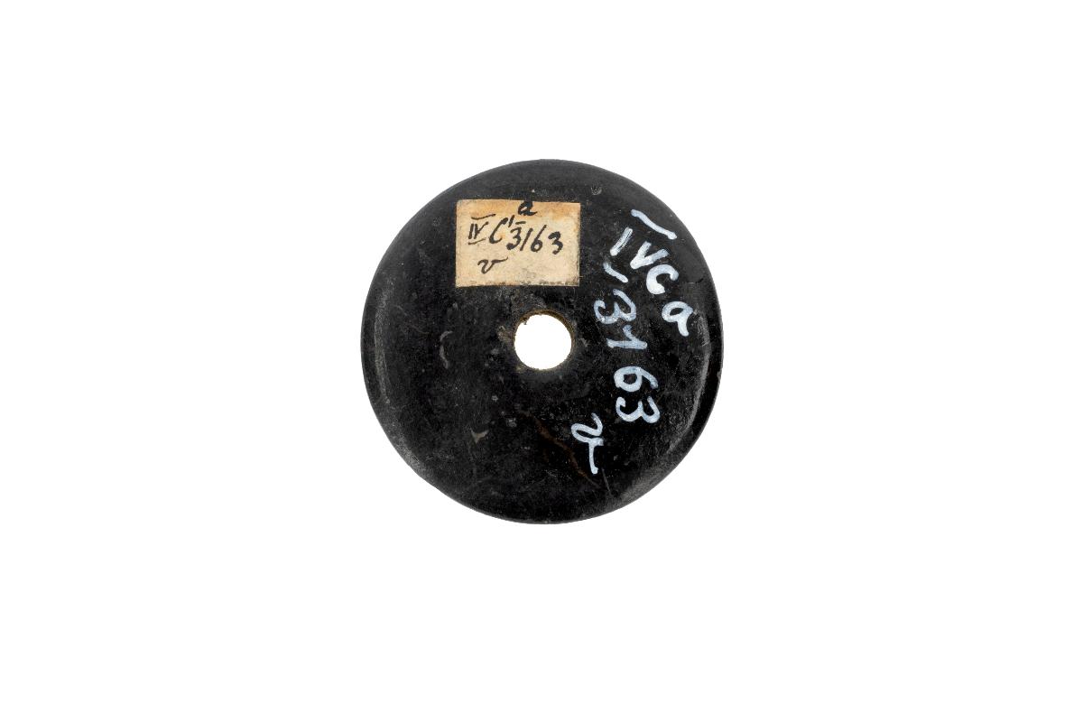 IV Ca 3163 v