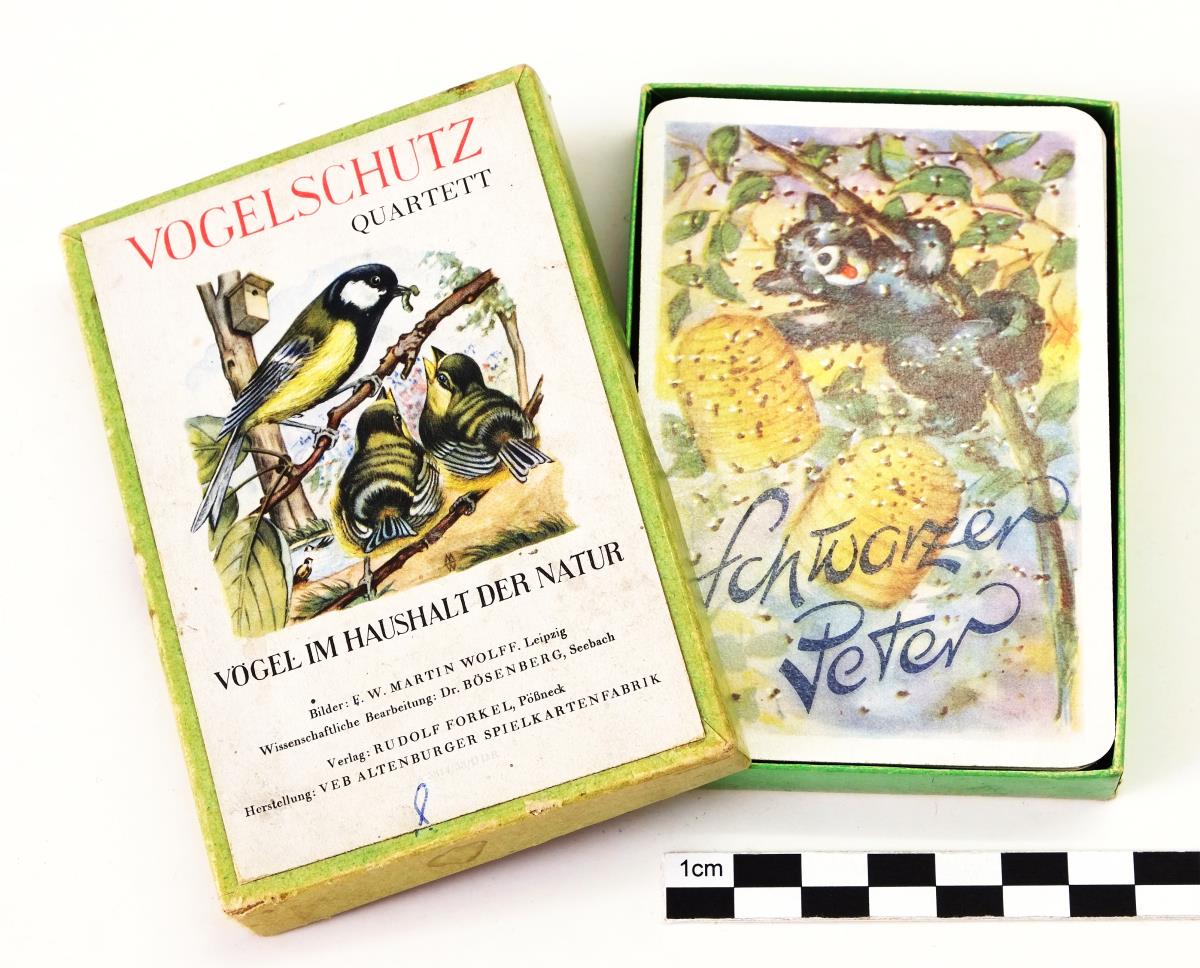 Vogelschutz