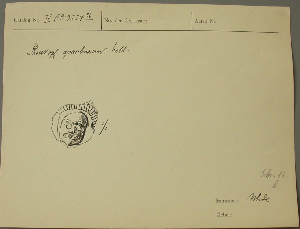 IV Ca 3554 (36)