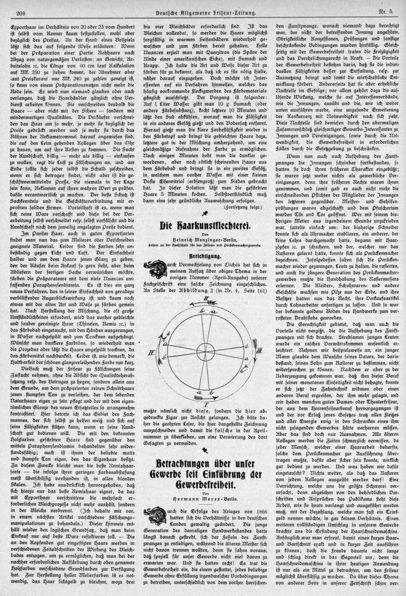 Deutsche Allgemeine Friseur-Zeitung: Die Haarkunstflechterei