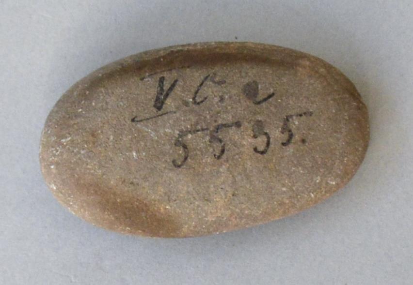V C 5535