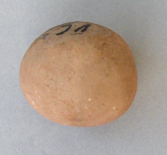 V C 5546