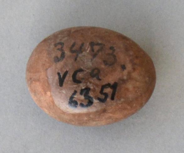 V C 6351