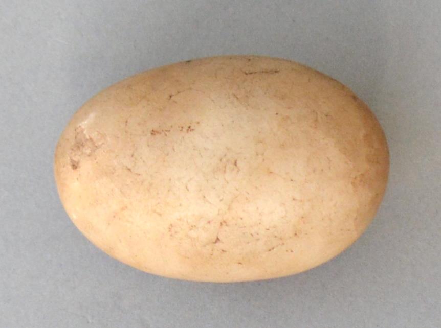 V C 6665