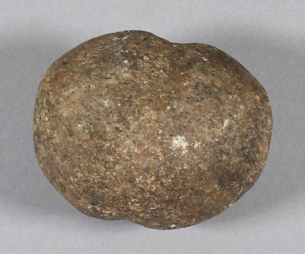 V C 5494