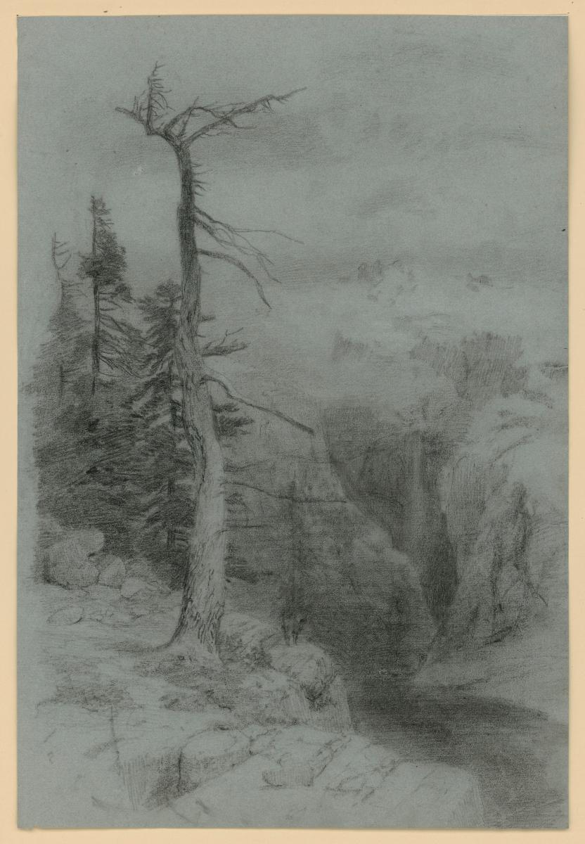 Hochgebirgslandschaft, vorn links Wettertannen