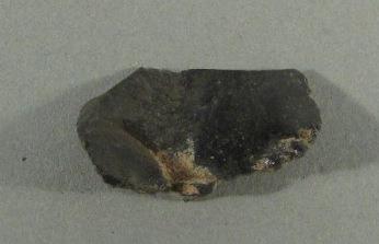V A 12239 b