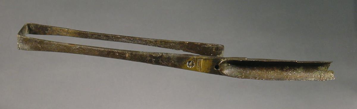 Strigilis