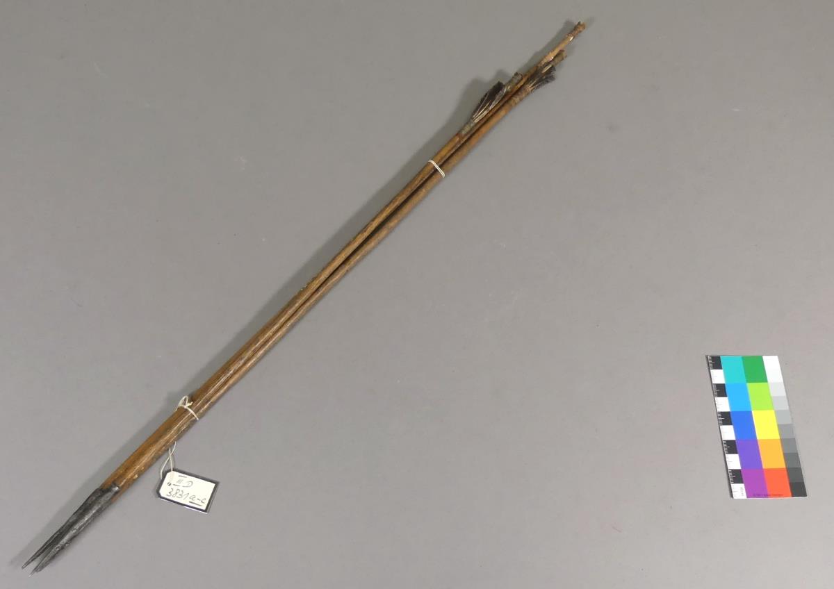 III D 3831 a-c