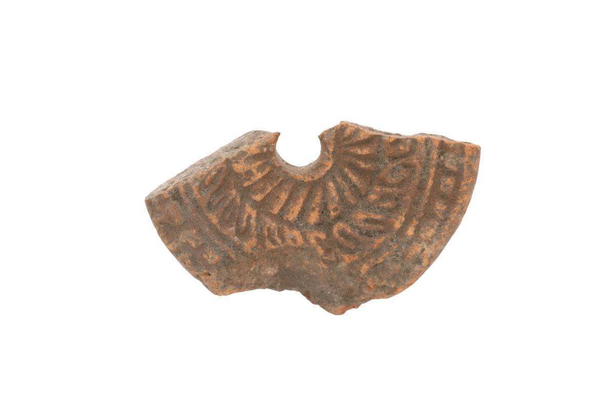 IV Ca 3546 v