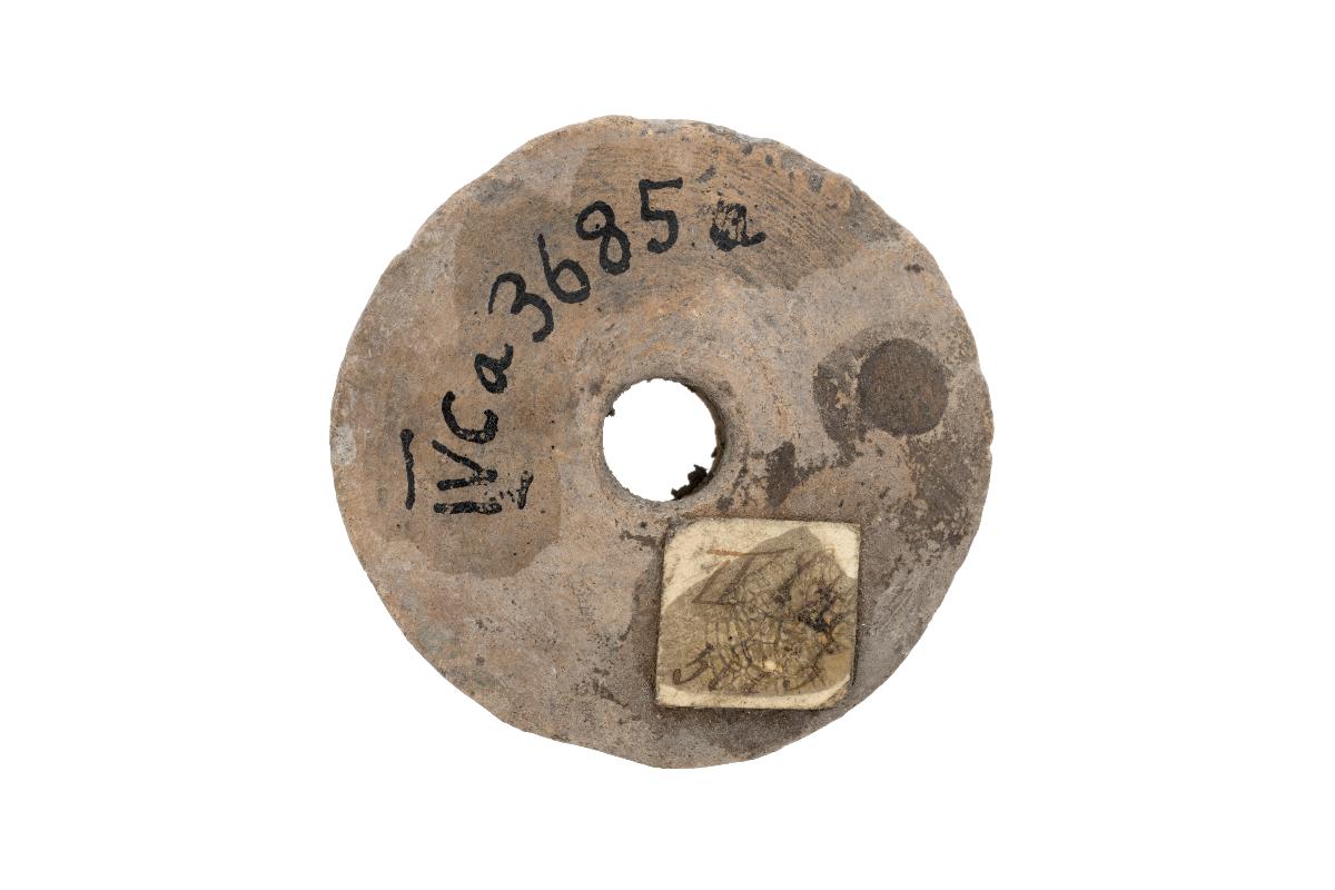IV Ca 3685 a