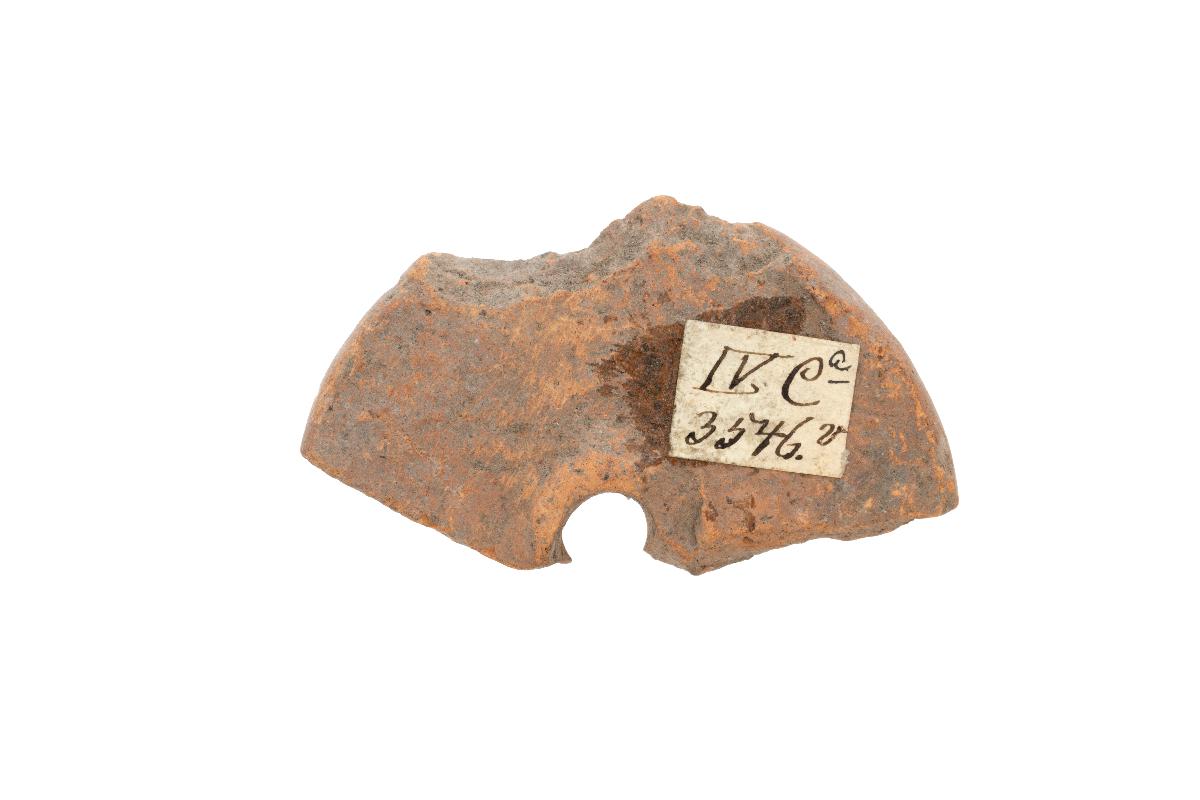 IV Ca 3546 v