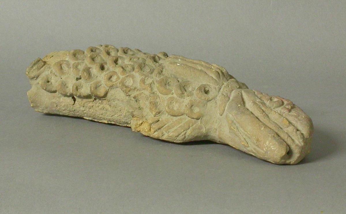 Fisch