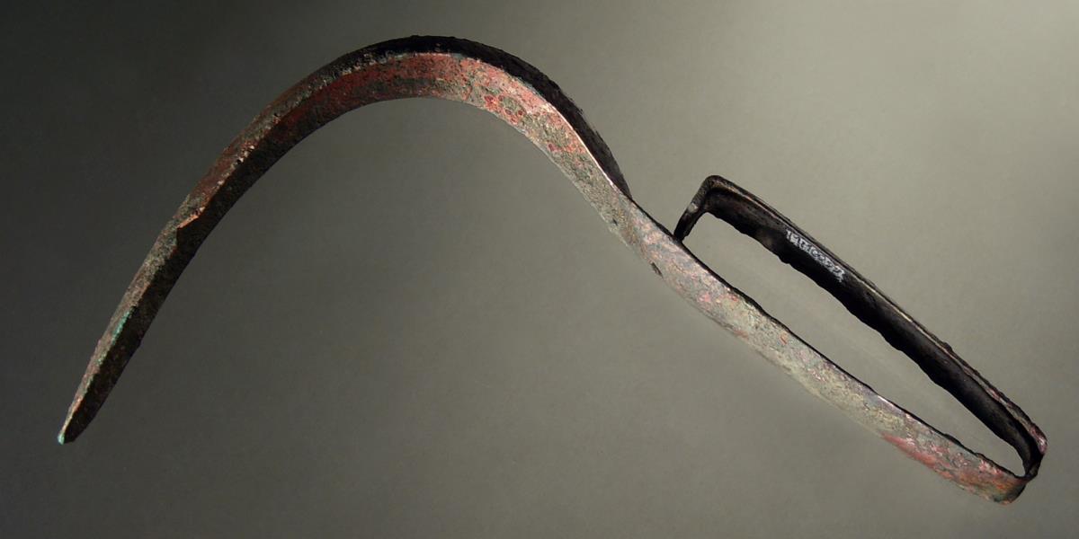 Strigilis