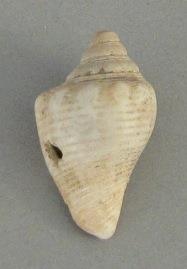 IV Ca 23845