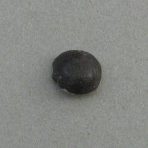 IV Ca 967 e