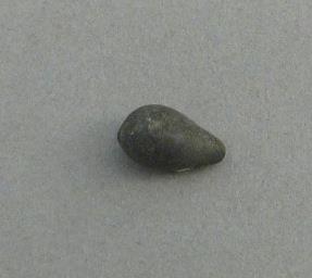 IV Ca 998 e <2>