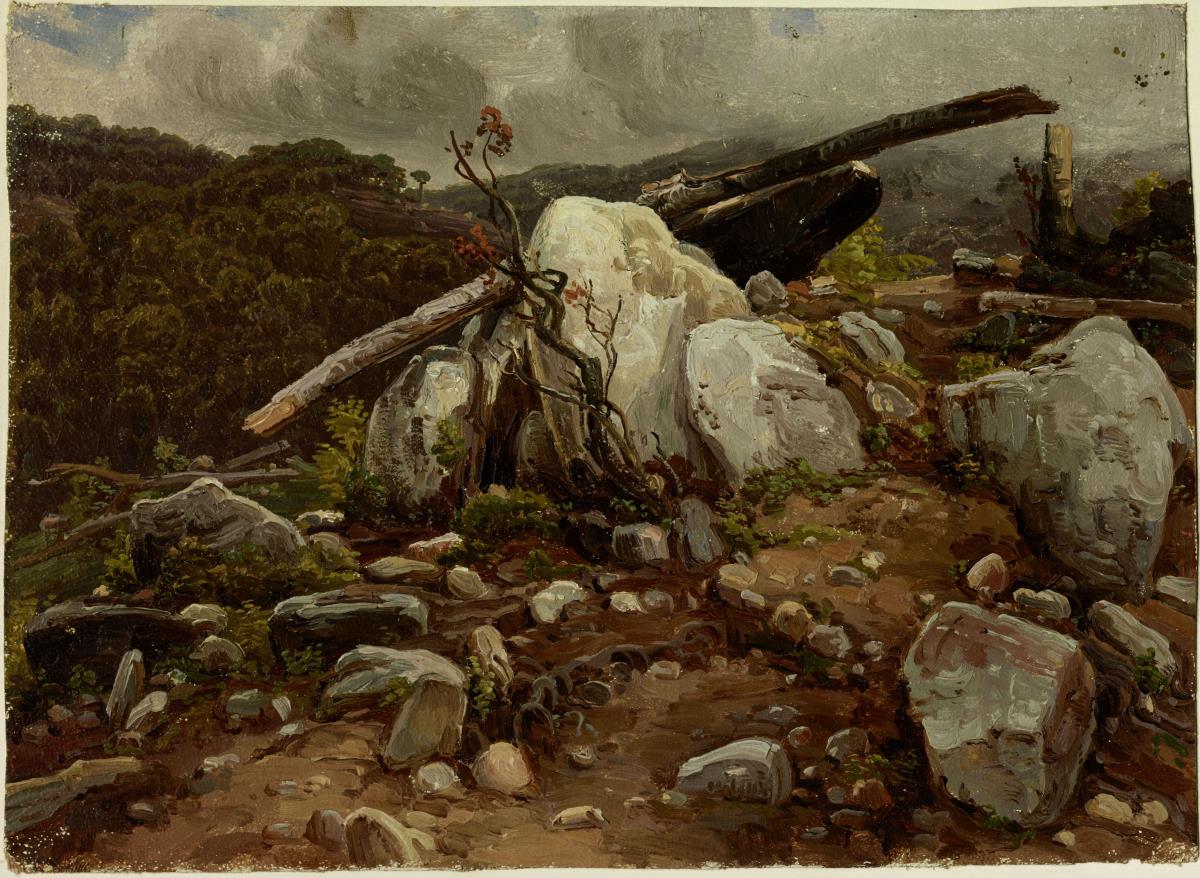 Felsiges Terrain mit gefälltem Baum, im Hintergrund Wald, in der Gegend der Kolonie Tovar