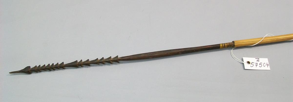 VI 57504