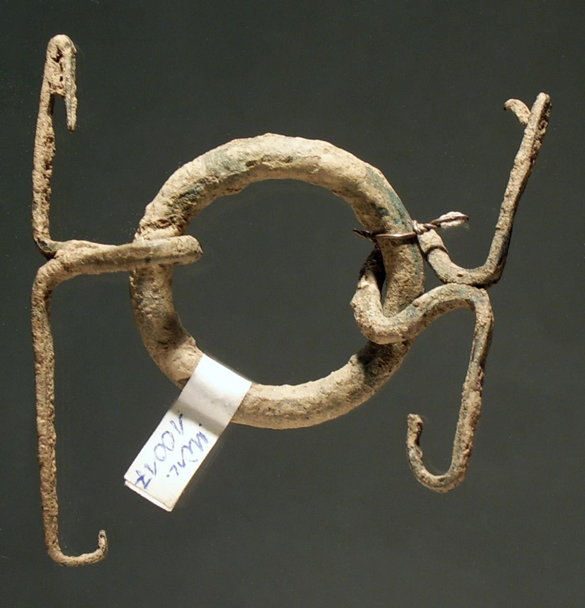 Ring mit zwei Haken
