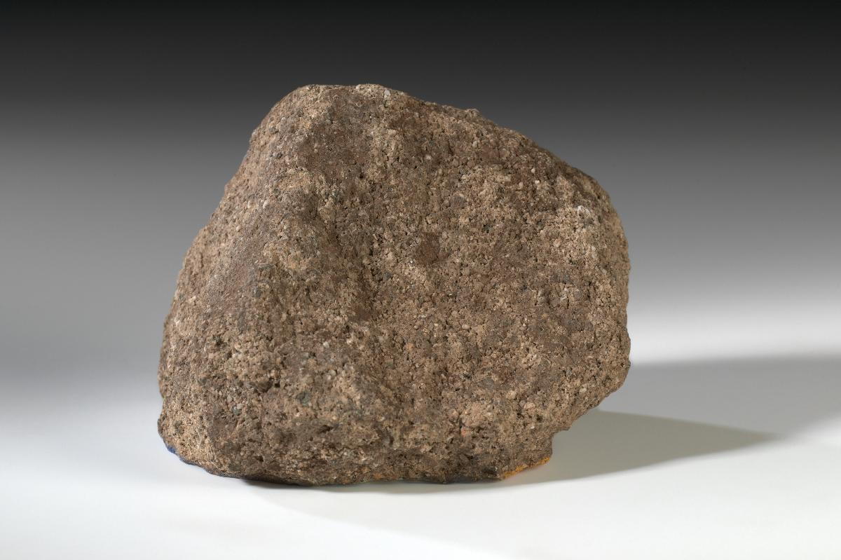 Randfragment eines Glasurziegels mit Rosettendekor