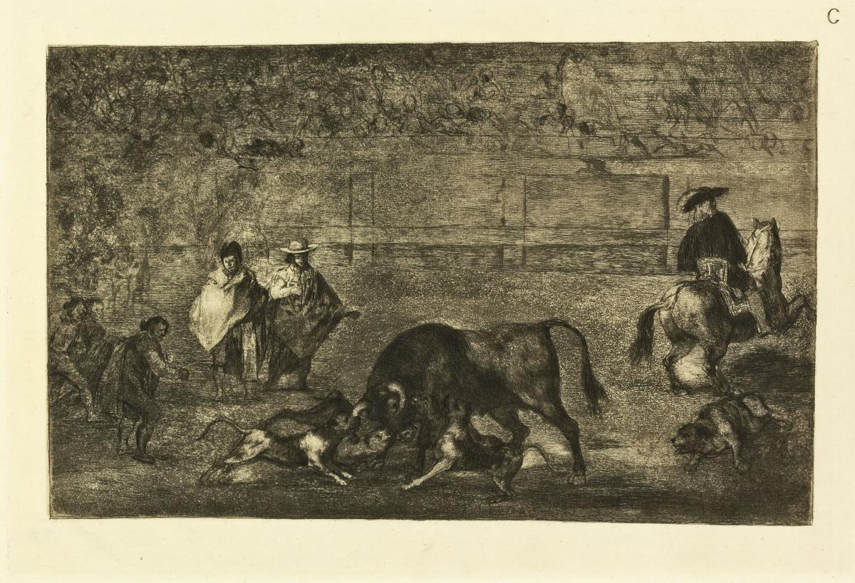 Echan perros al toro / Die Hunde werden losgelassen (Tauromaquia C)