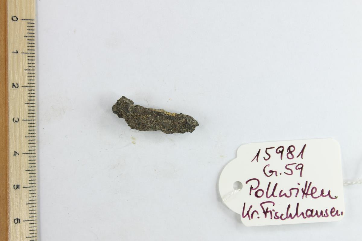Fibelfragment