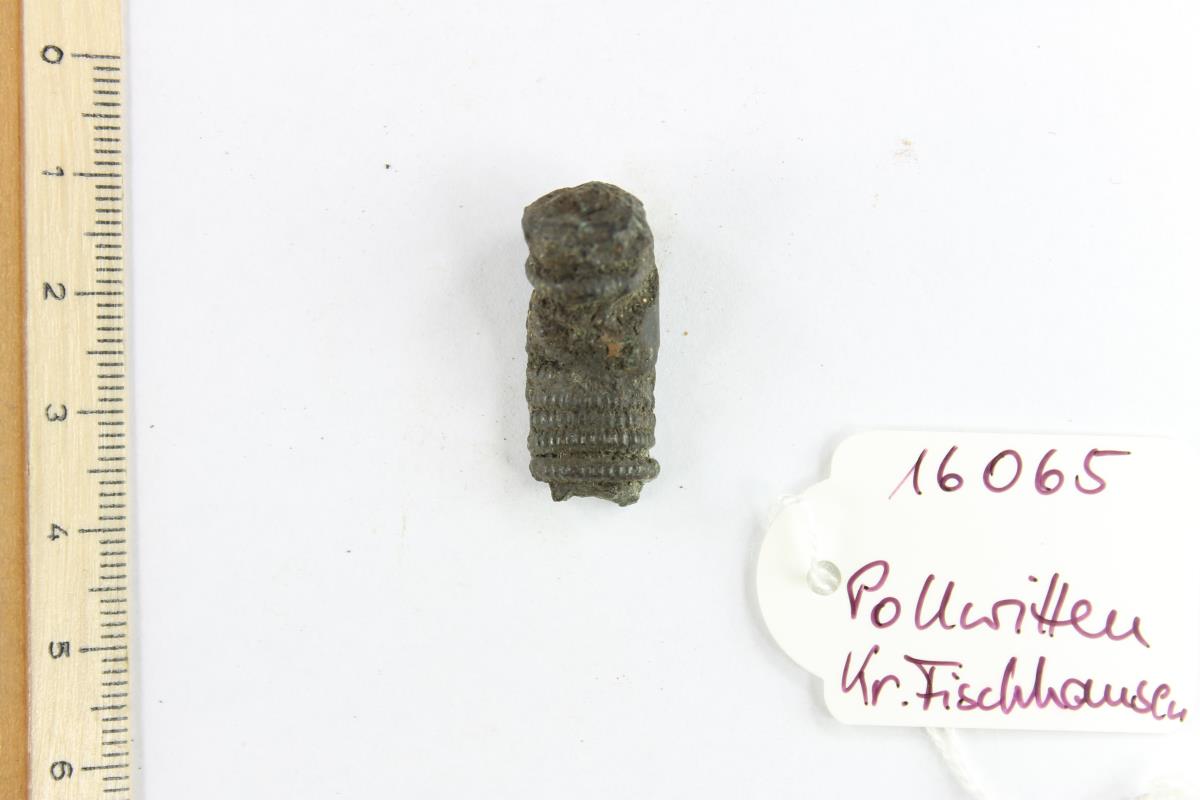 Fibelfragment