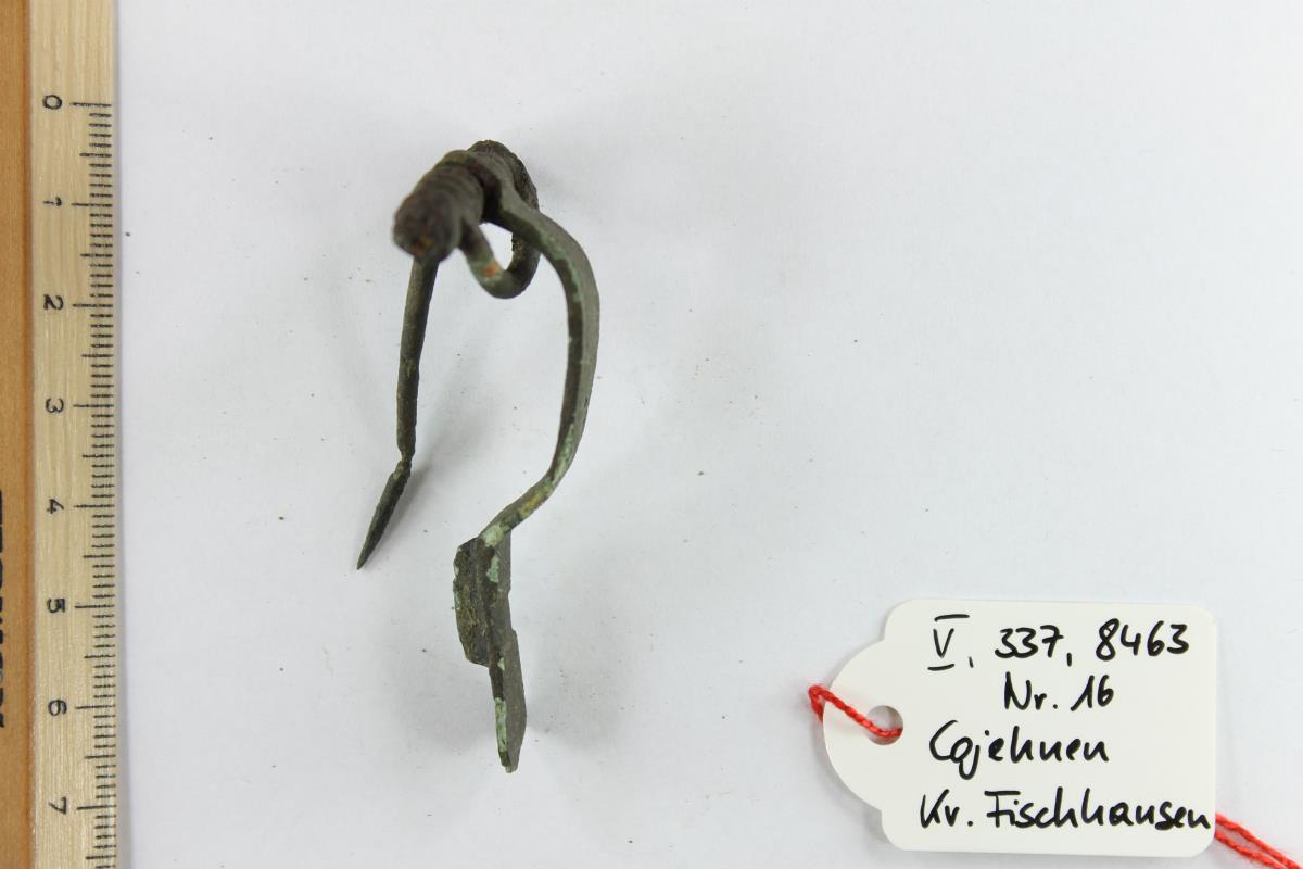 Armbrustfibel