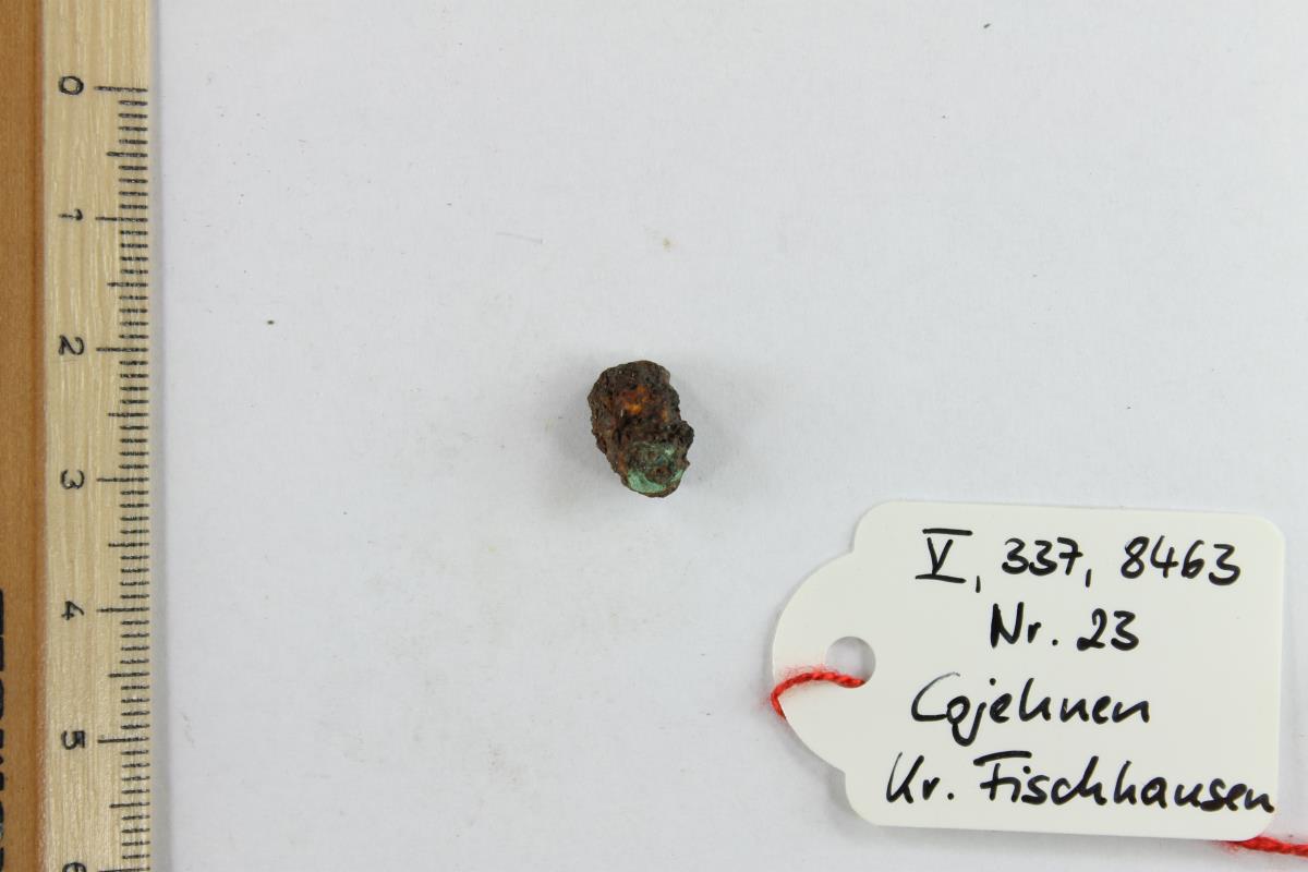 Fibelfragment