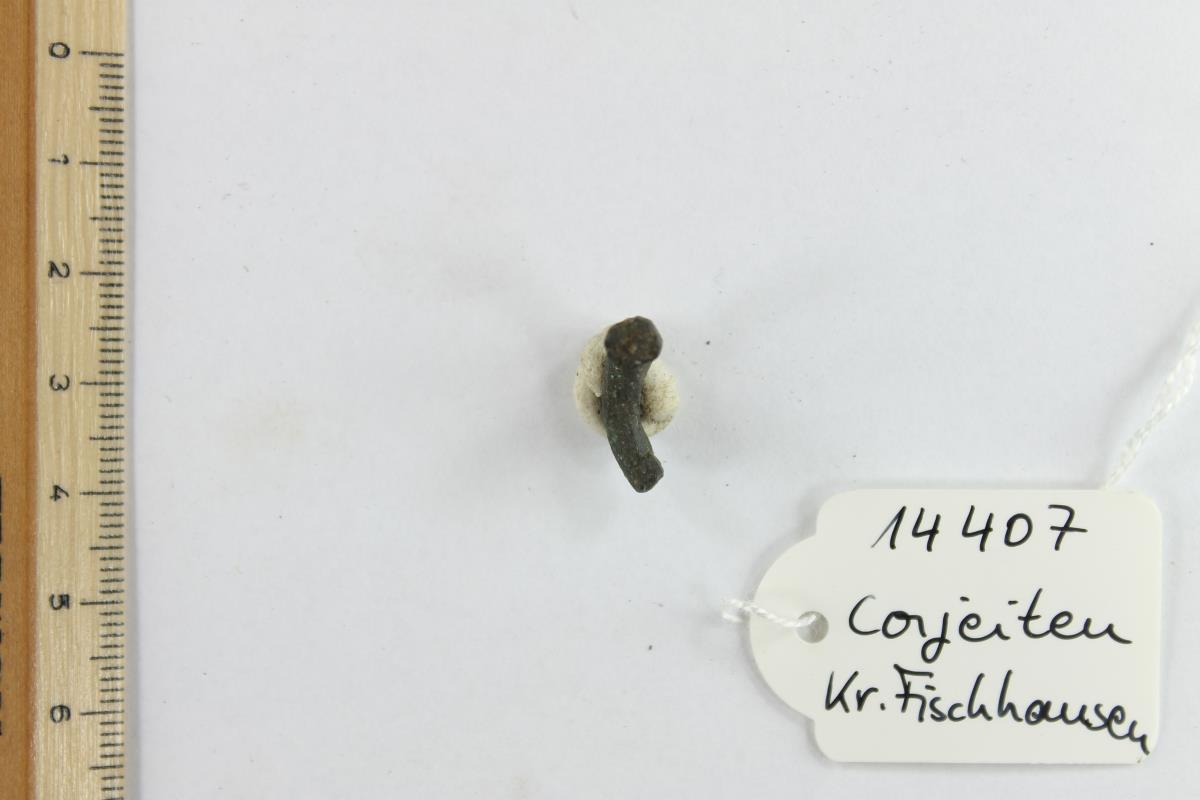 Gürtelschnallenfragment