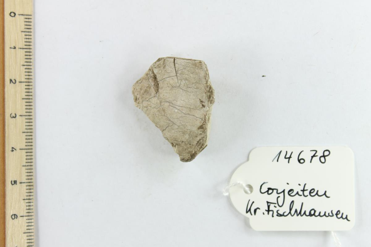 Silex