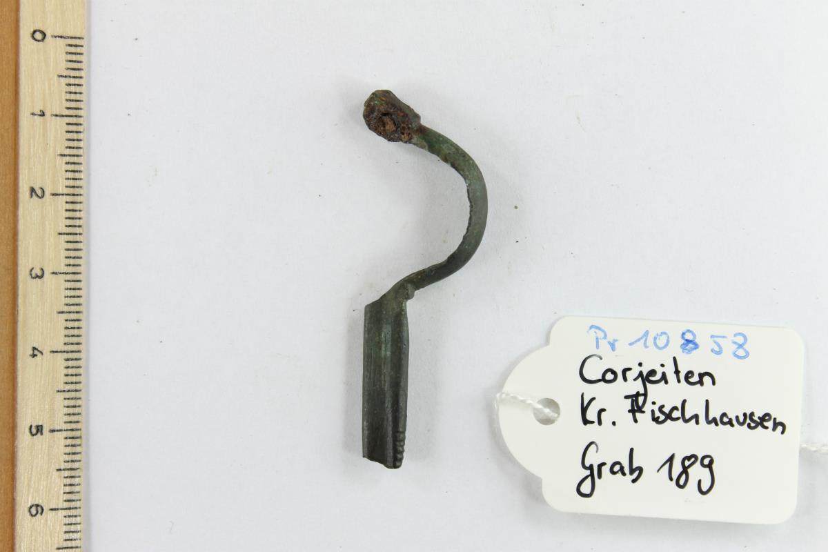 Armbrustfibel