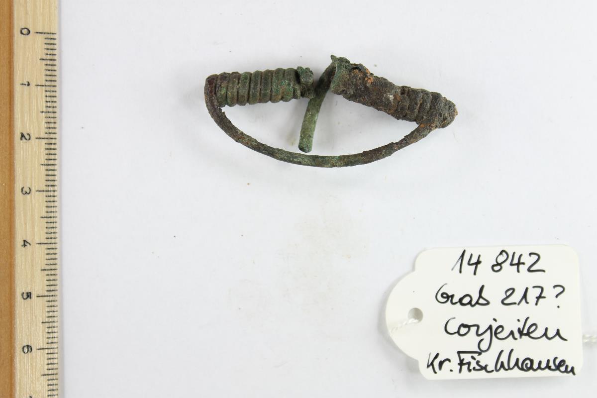 Fibelfragment