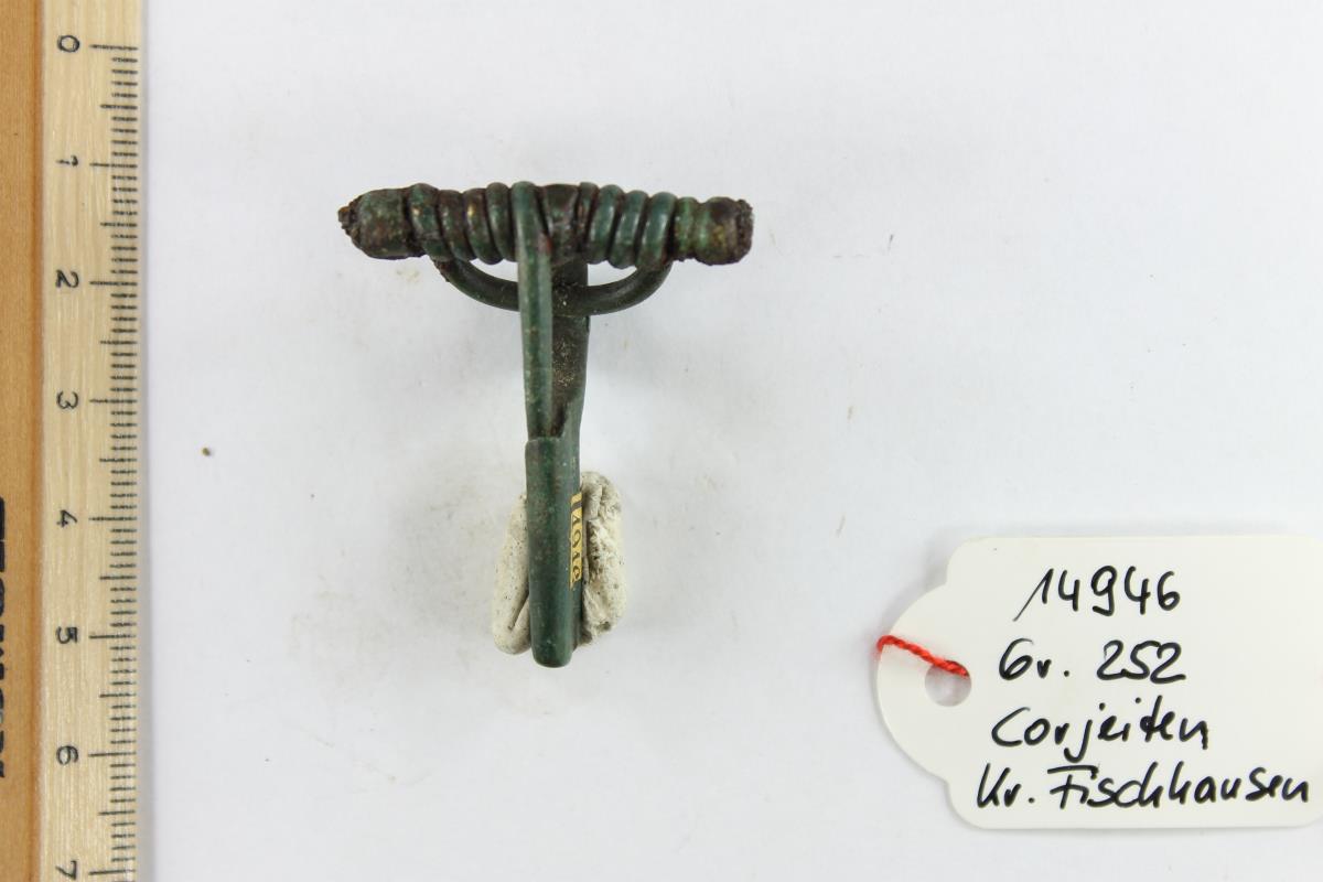 Armbrustfibel