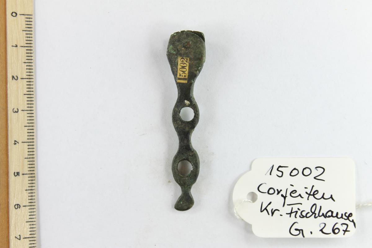 Riemenzunge