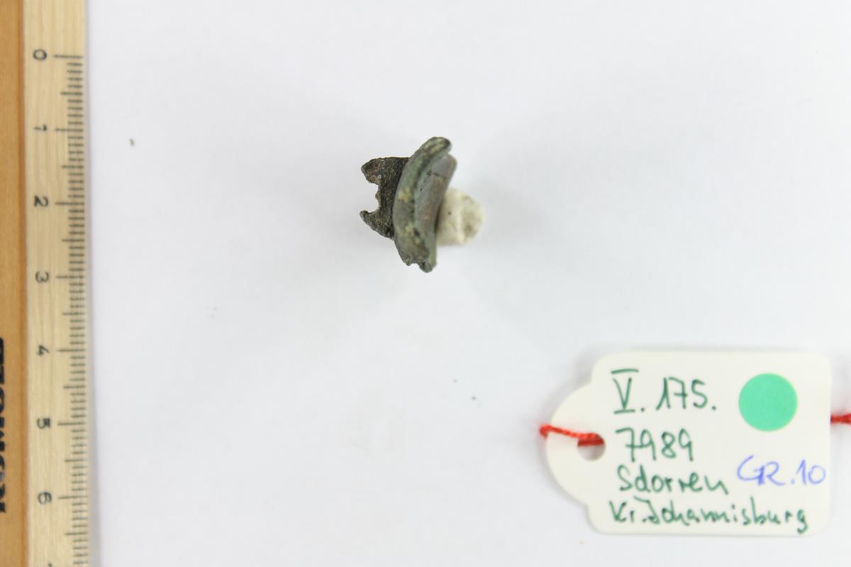 Fibelfragment