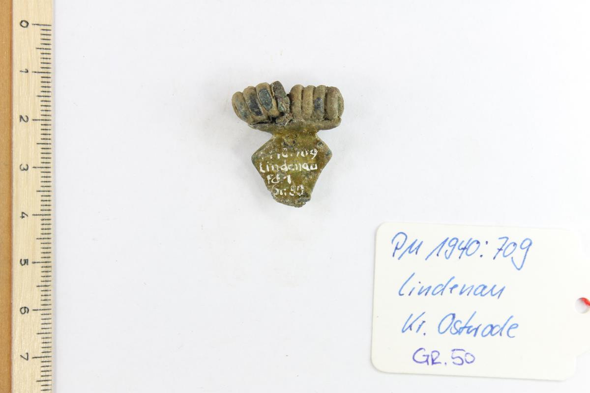 Fibelfragment