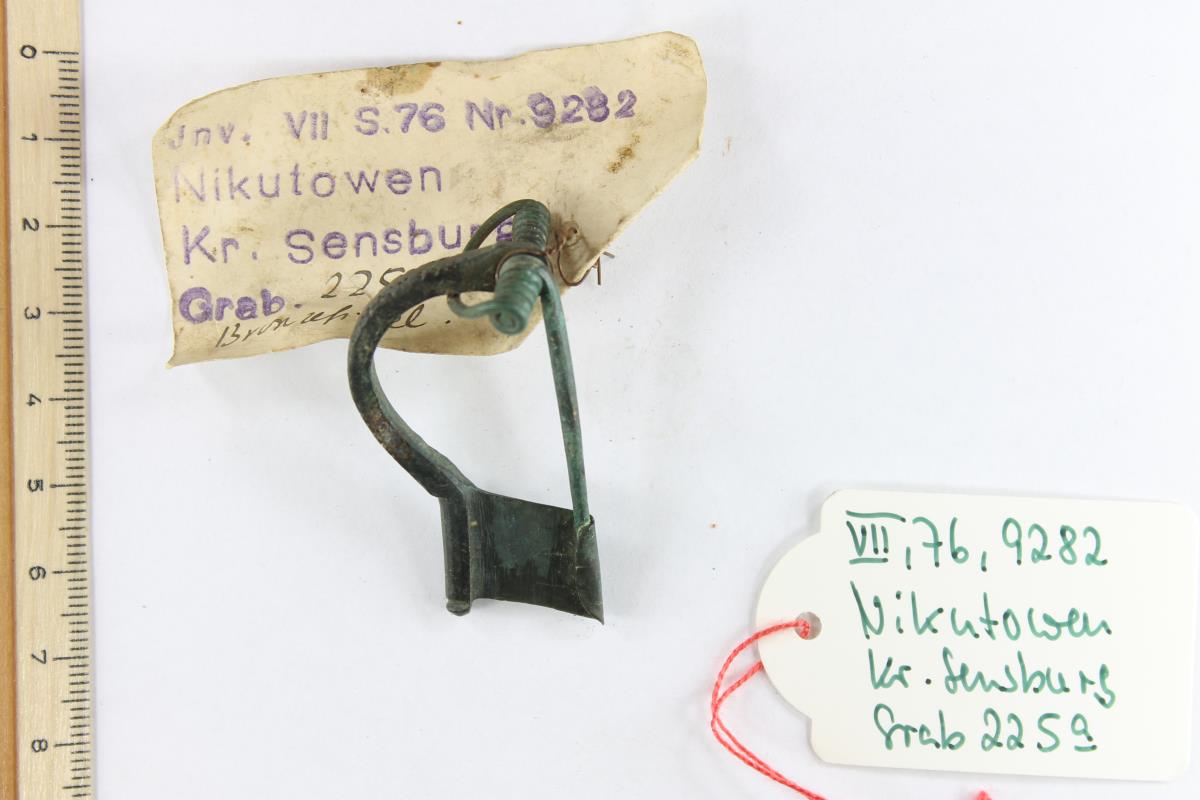 Armbrustfibel
