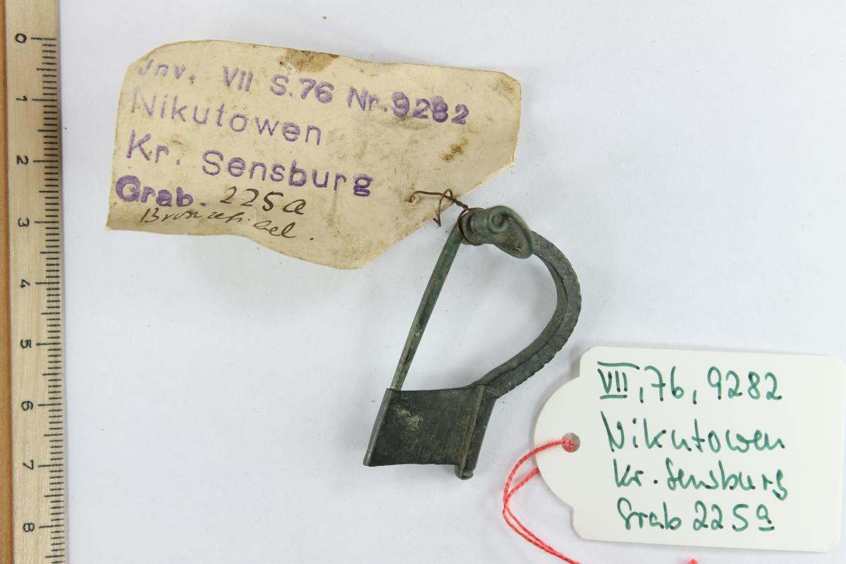 Armbrustfibel