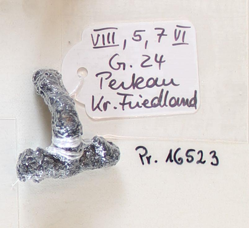 Fibelfragment