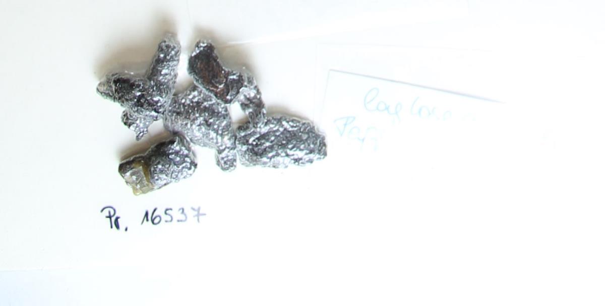 Gürtelschnallenfragment