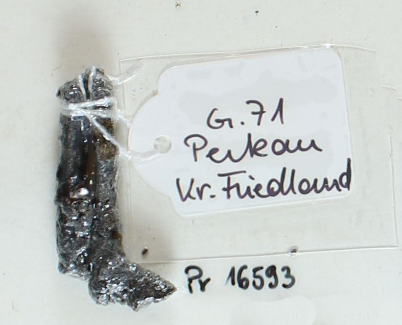 Fibelfragment