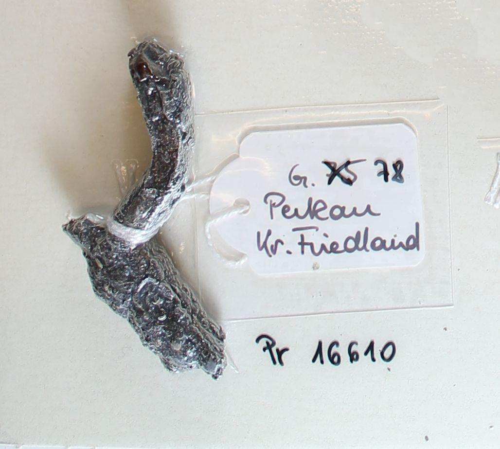 Fibelfragment