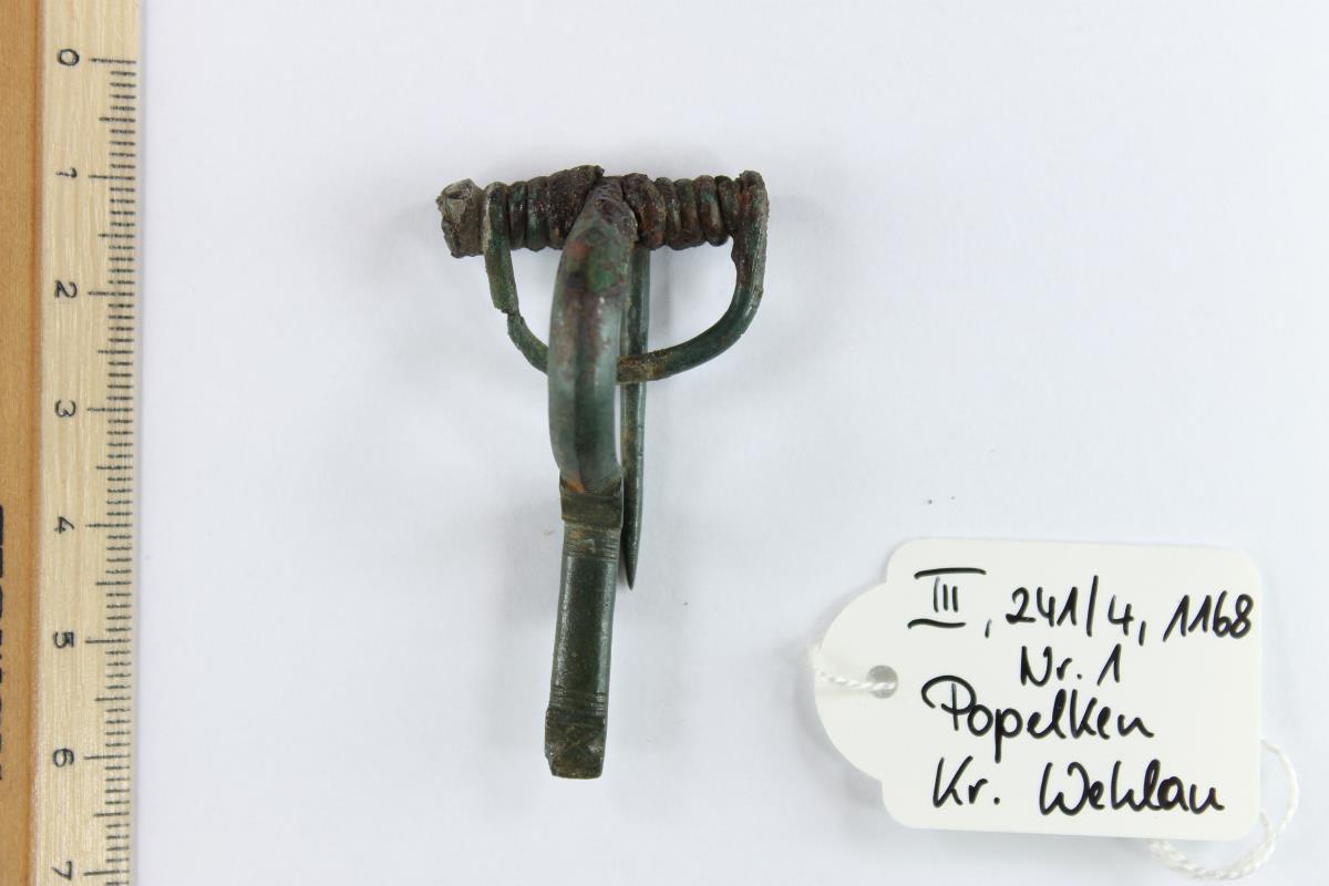 Armbrustfibel