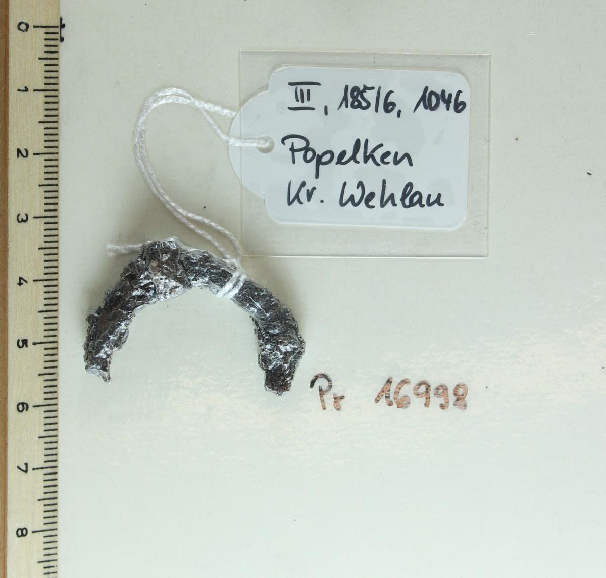 Gürtelschnallenfragment