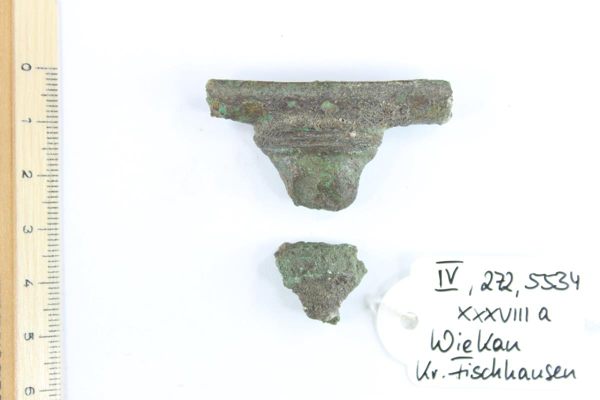 Fibelfragment
