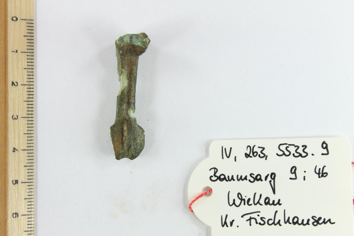 Kniefibel