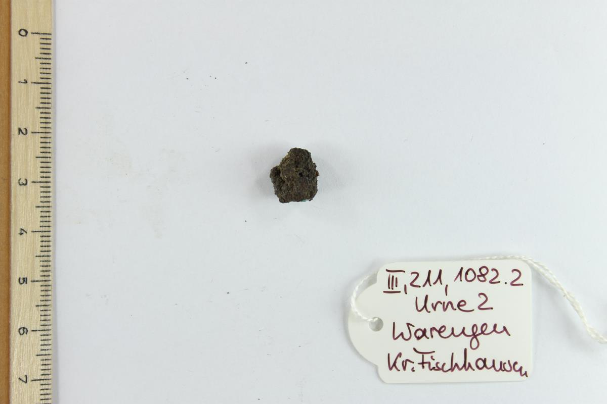 Fibelfragment
